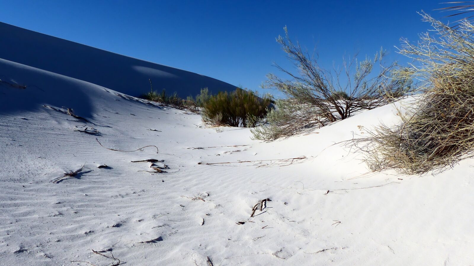 Panasonic Lumix DMC-FZ200 sample photo. Desert, sand, dunes photography