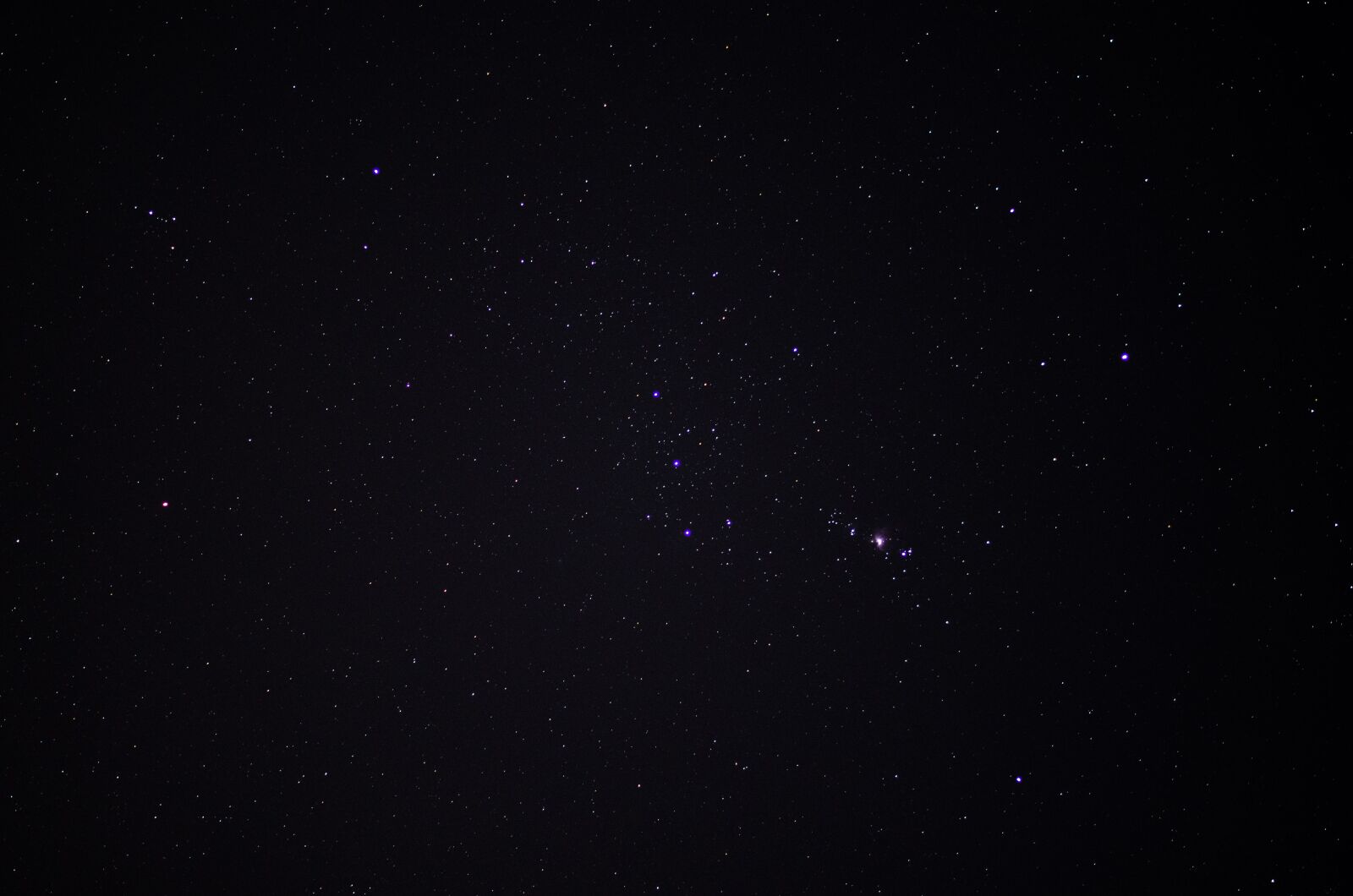 Nikon D7000 sample photo. Orion, stars, constellation photography