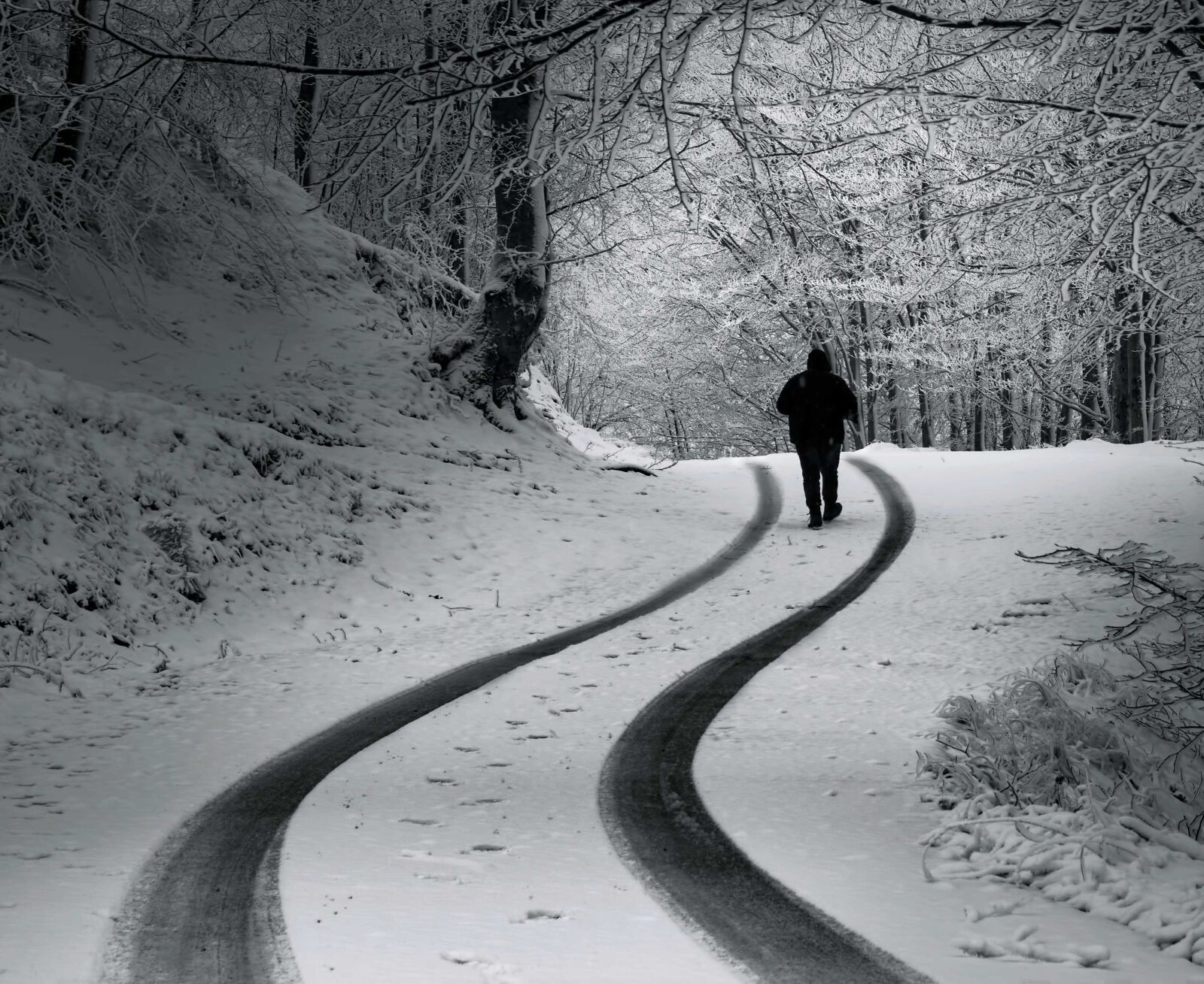 Nikon D5300 sample photo. Man, snow, road photography