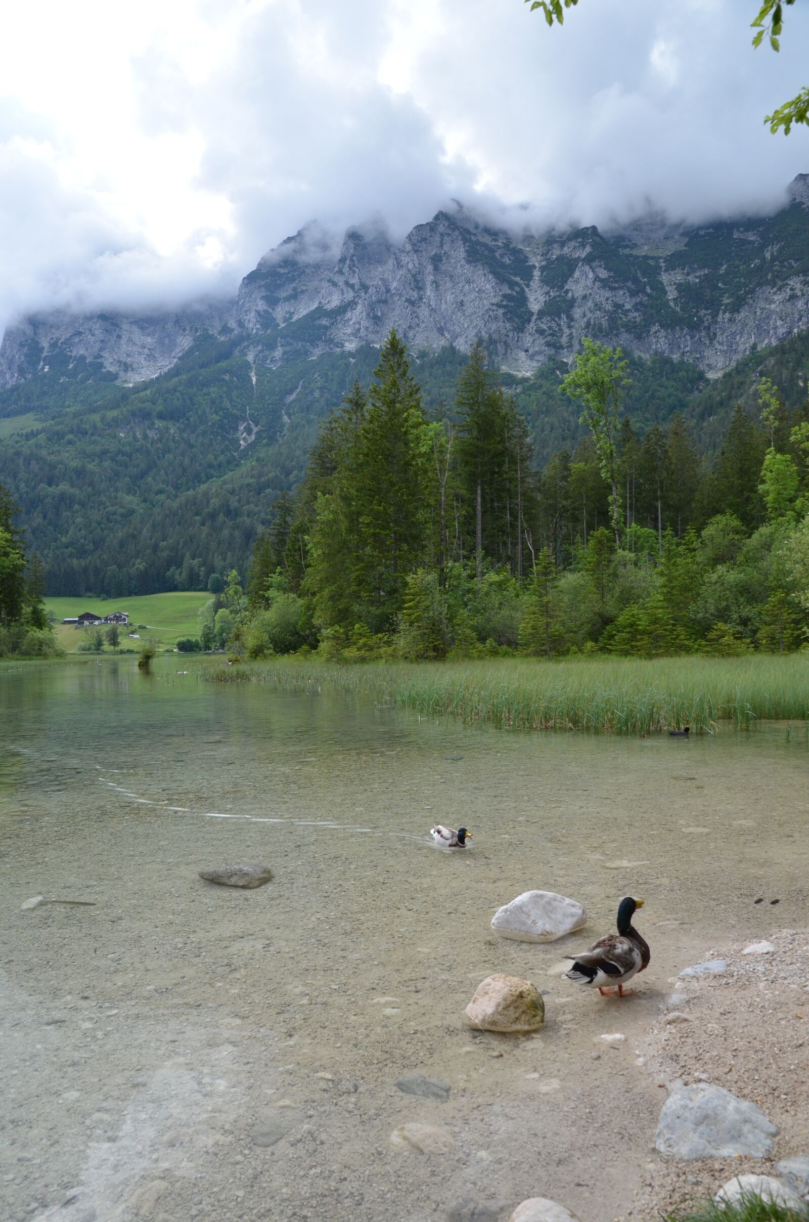 Nikon D5100 sample photo. Hintersee, ramsau, berchtesgaden photography