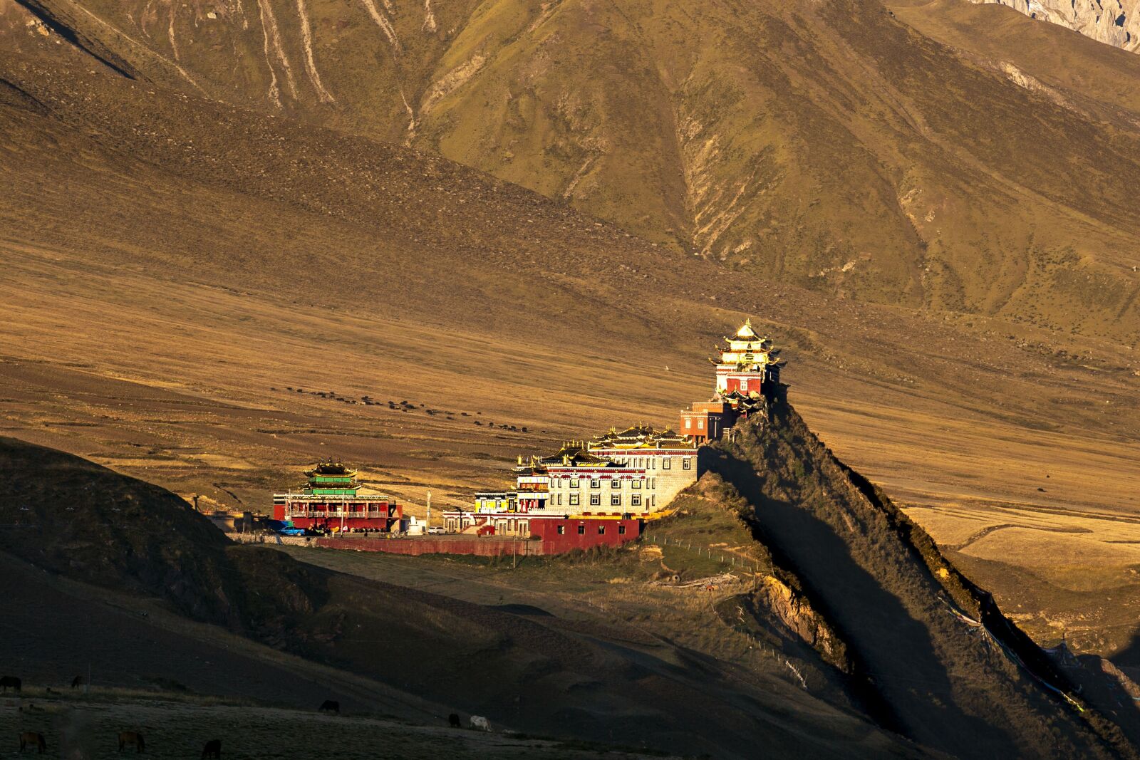 Canon EOS 5D Mark III sample photo. Tibet, temple, scenery photography