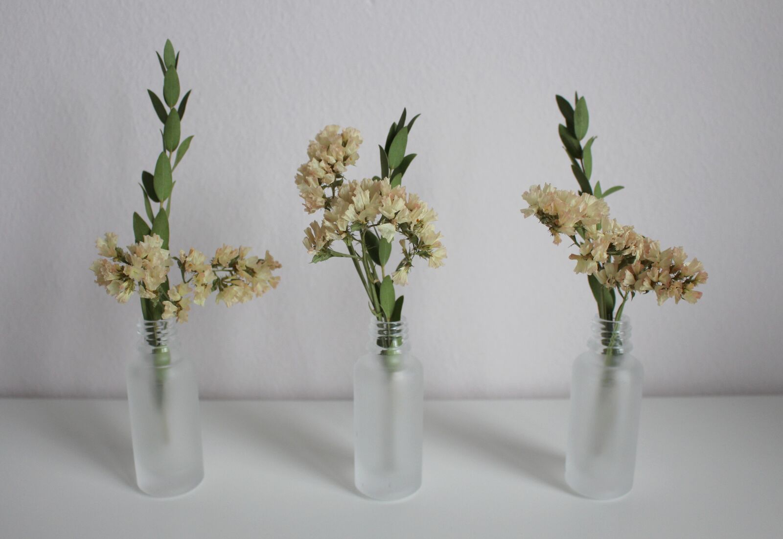 Canon EOS 700D (EOS Rebel T5i / EOS Kiss X7i) sample photo. Flowers, vase, deco photography