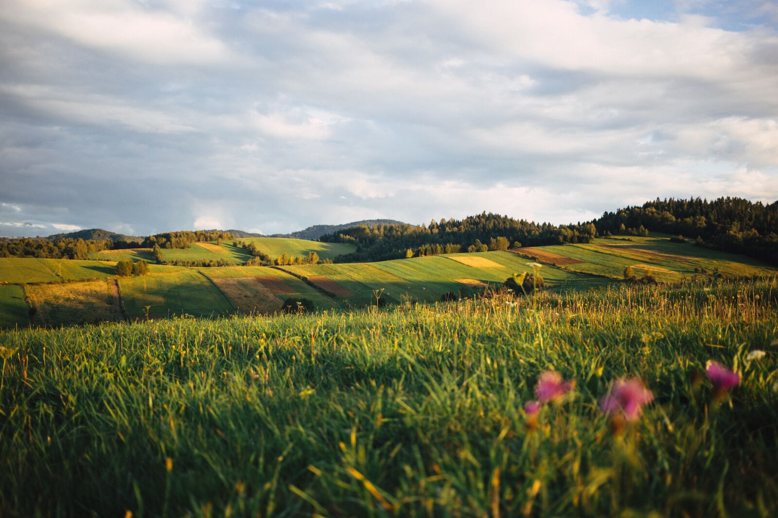 Canon EF 40mm F2.8 STM sample photo. Nature, bieszczady, clouds photography