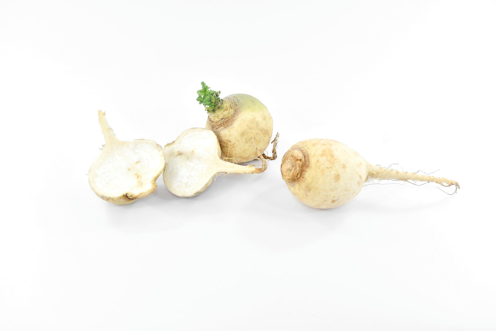 Nikon D5500 sample photo. Radish, white, vegetable, root photography