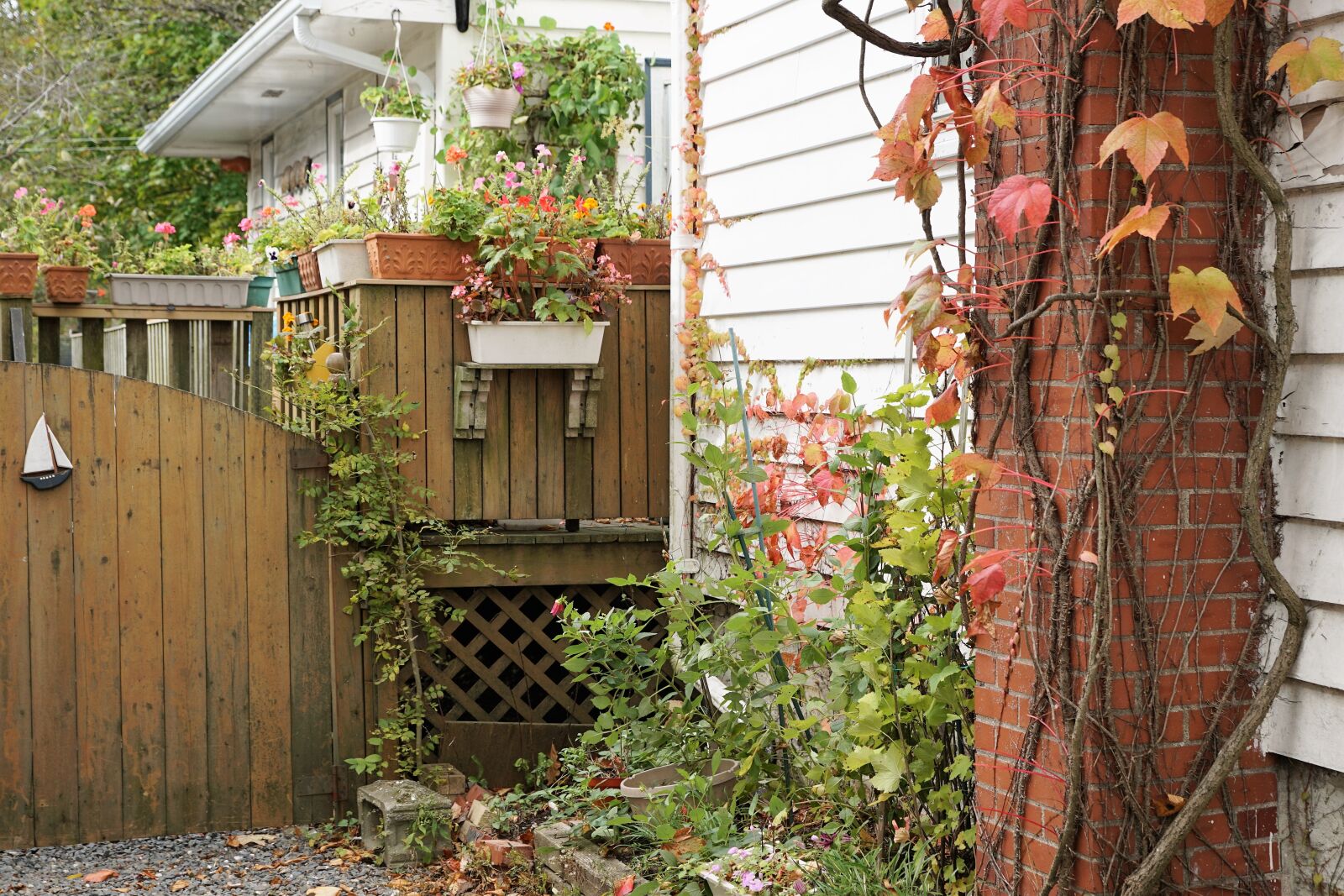 Sony ILCA-77M2 + Sony DT 16-50mm F2.8 SSM sample photo. House, facade, wood photography