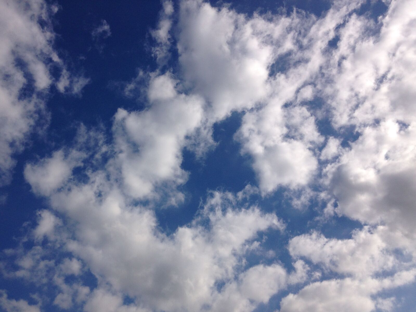iPhone 5c back camera 4.12mm f/2.4 sample photo. Blue, sky, clouds, cloudy photography