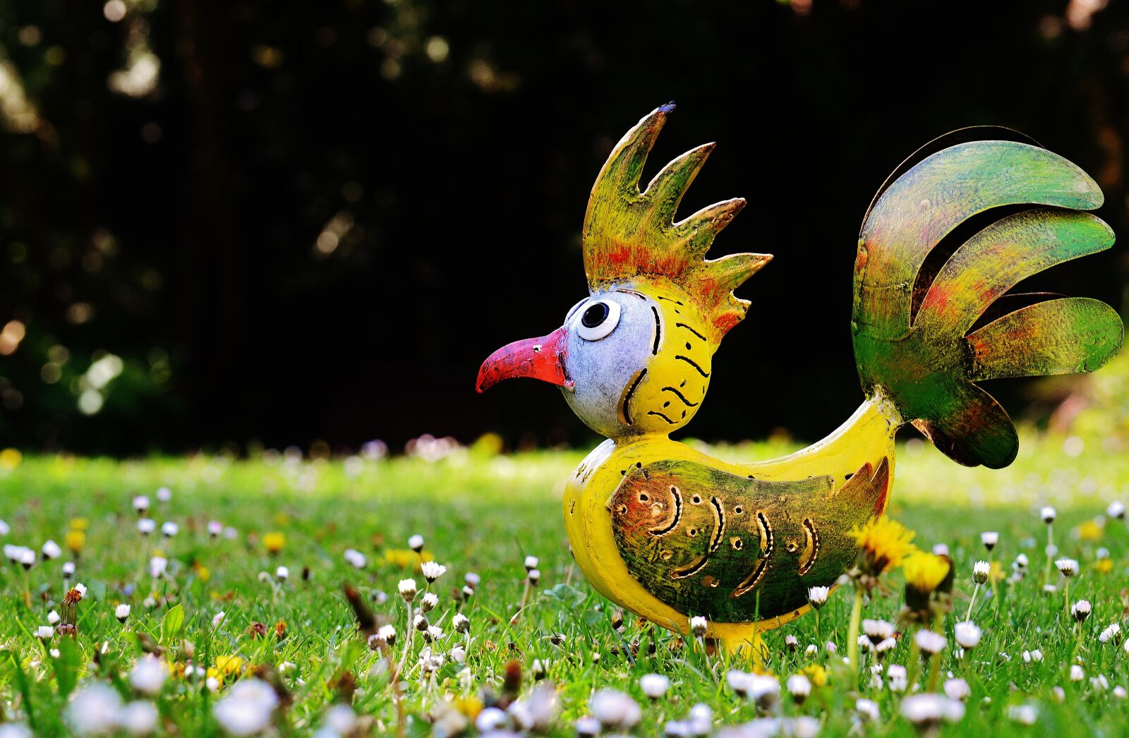 Nikon D3200 sample photo. Bird, sheet, deco photography