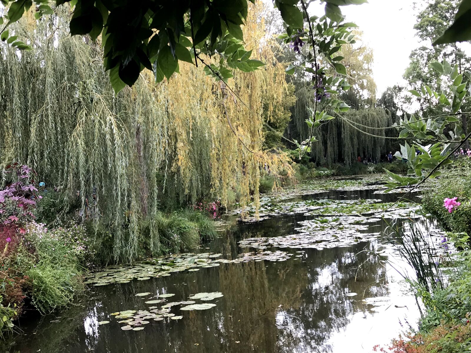 iPhone 7 Plus back dual camera 3.99mm f/1.8 sample photo. Monet, garden, giverny photography