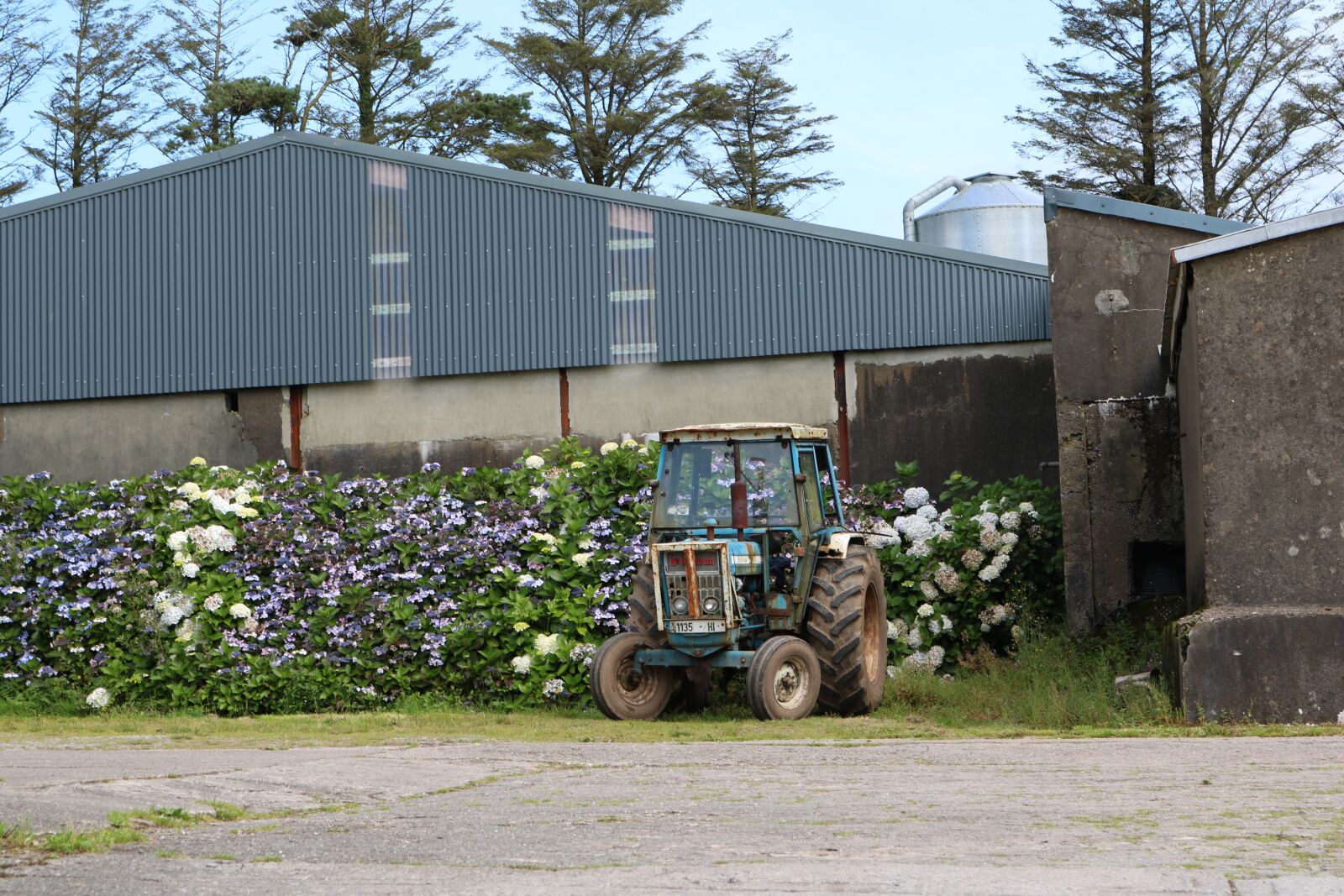 Canon EOS 750D (EOS Rebel T6i / EOS Kiss X8i) sample photo. Farm, barn, agriculture photography