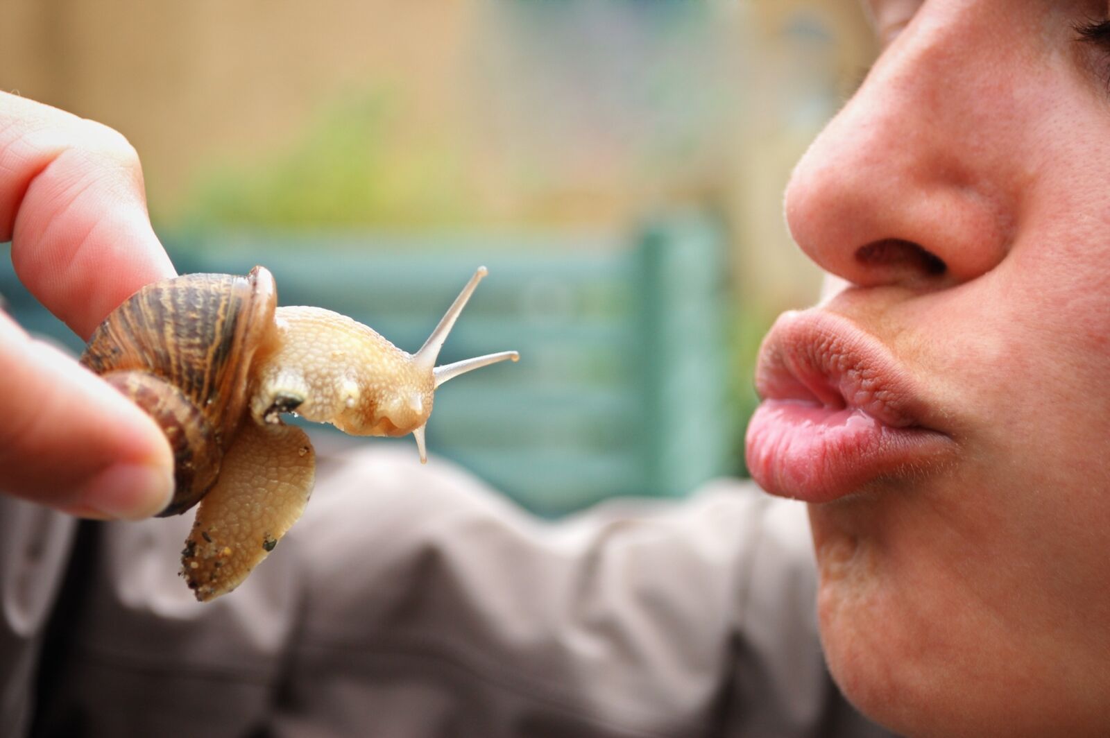 Nikon D40 sample photo. Snail, kiss, reptile photography