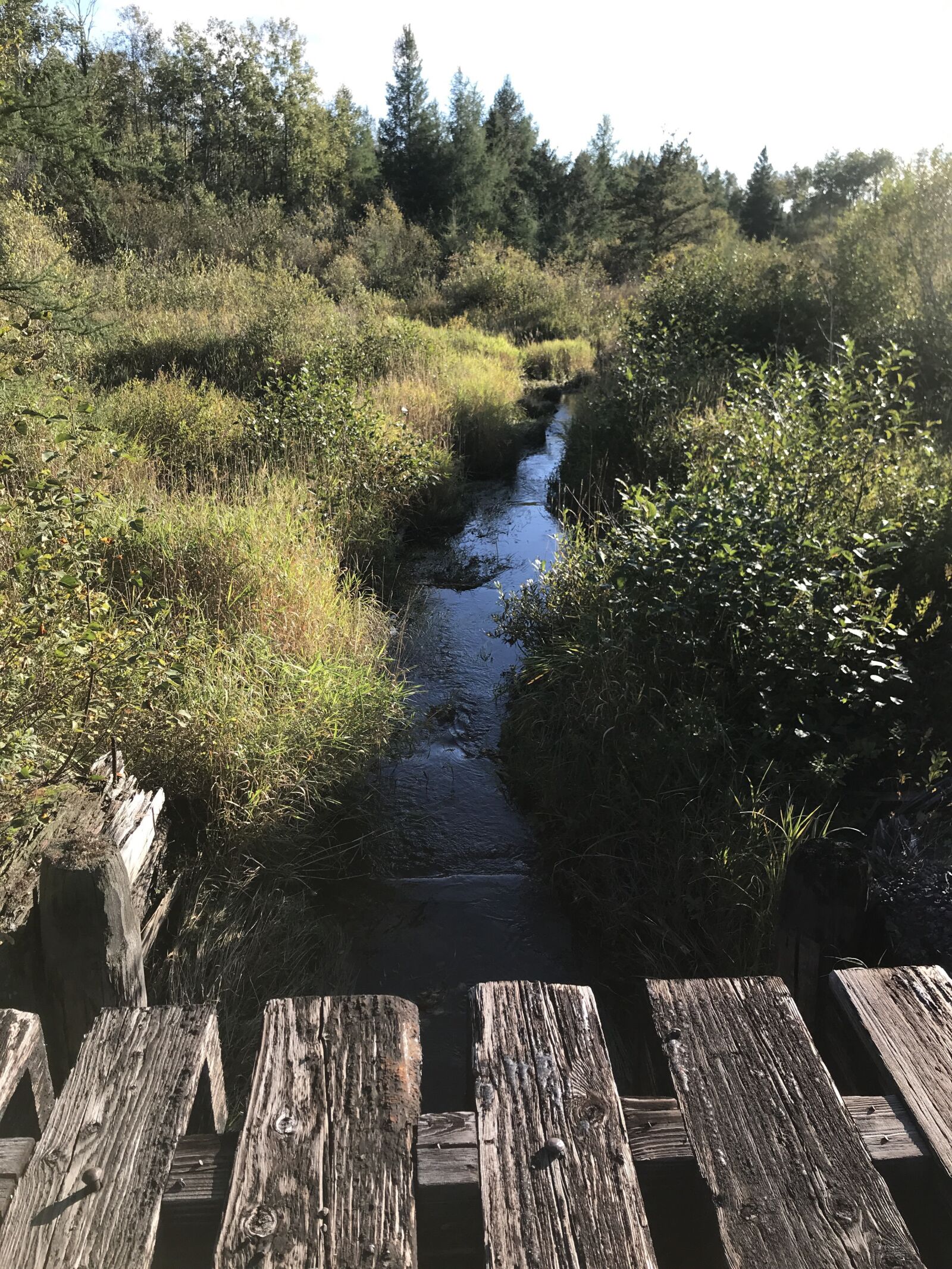 iPhone 7 back camera 3.99mm f/1.8 sample photo. Bridge, water, river photography