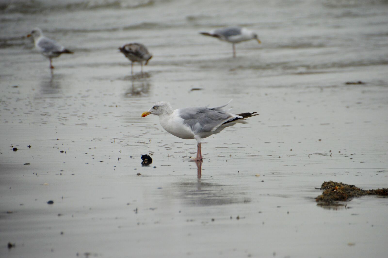 Nikon D3200 sample photo. Sea, beach, stella beach photography