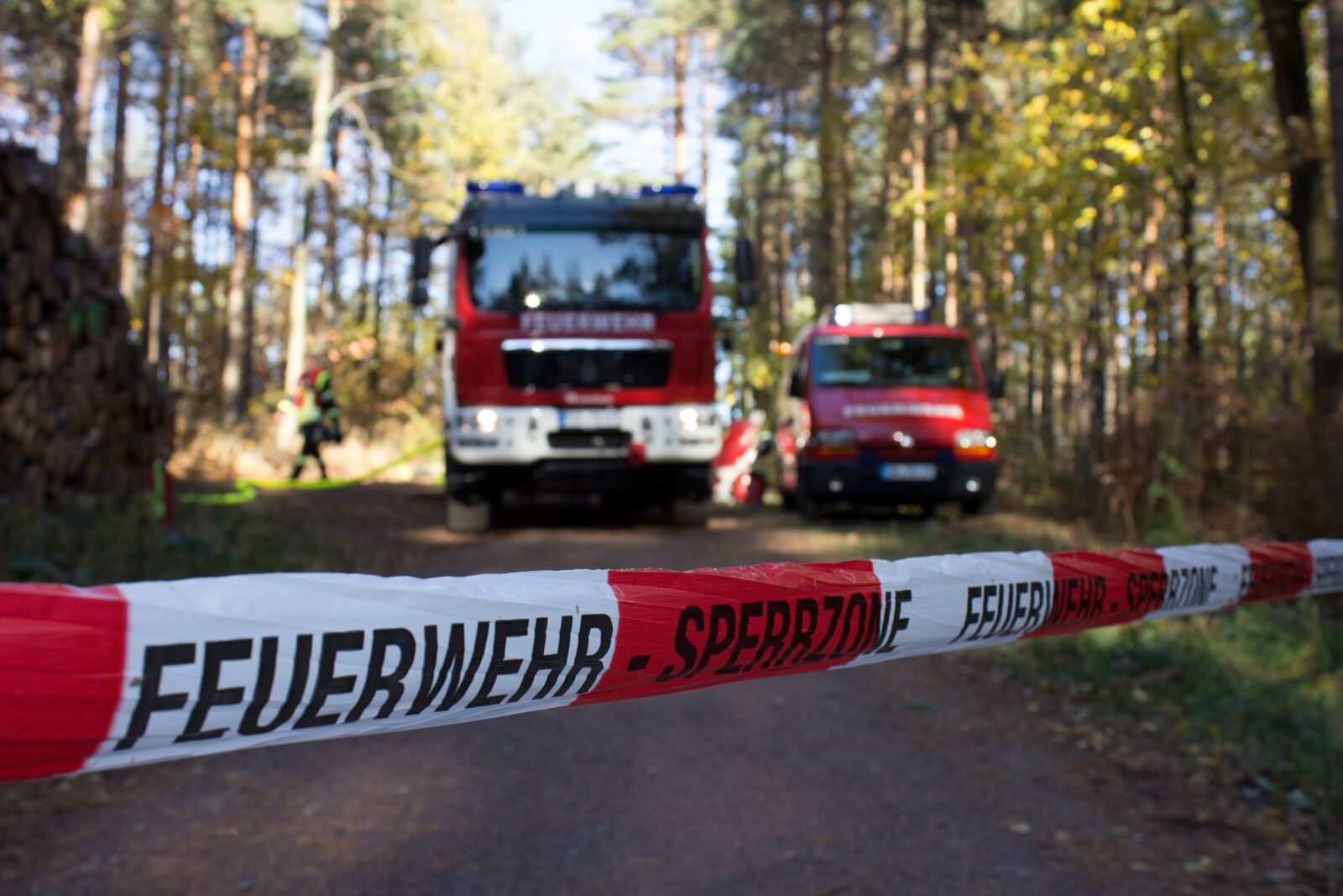 Canon EOS 600D (Rebel EOS T3i / EOS Kiss X5) sample photo. Fire, forest, forest fire photography