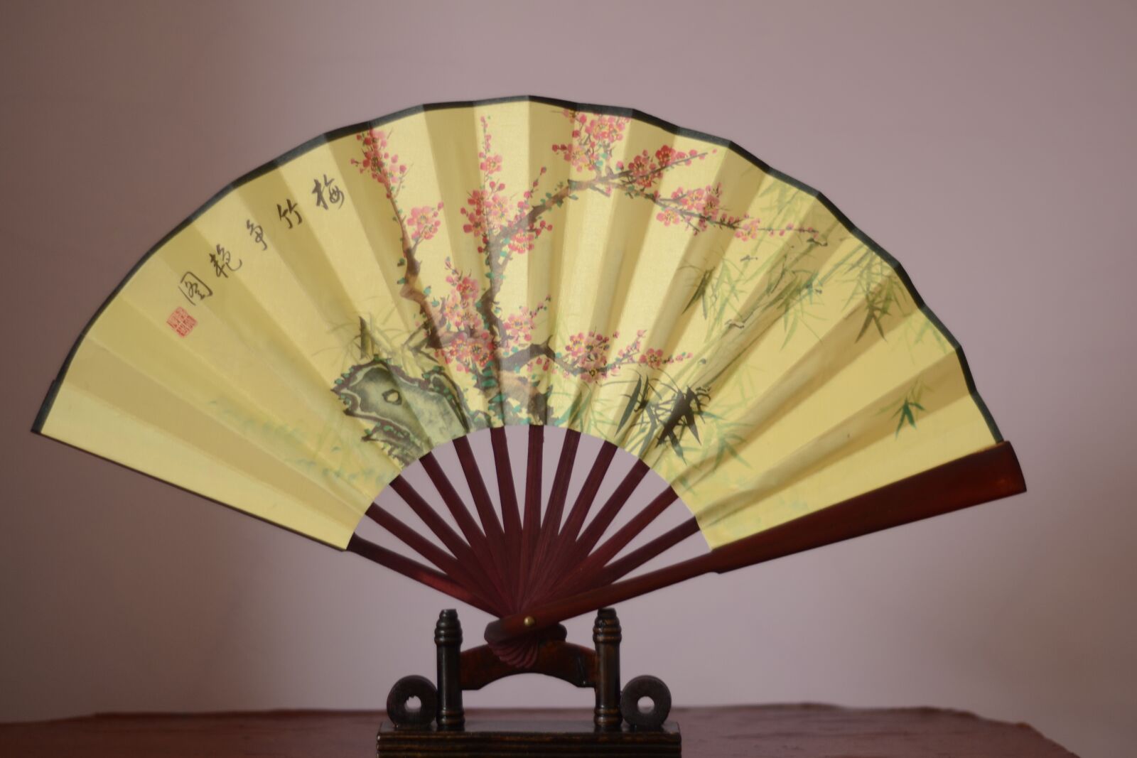 Nikon D3100 sample photo. Fan, plum bamboo and photography