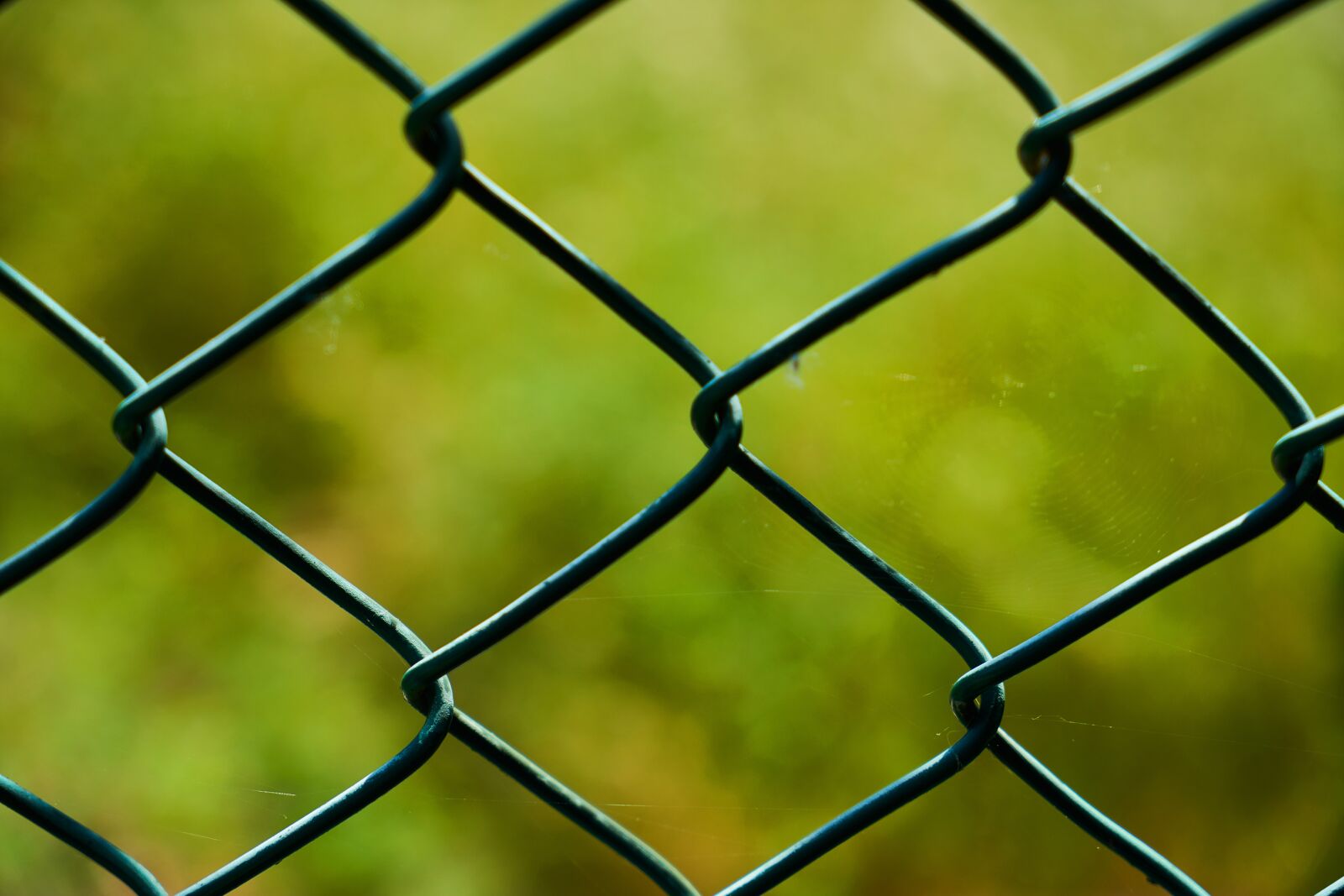 Sony a7R II + Sony Vario Tessar T* FE 24-70mm F4 ZA OSS sample photo. Barbed wire, engel, pattern photography