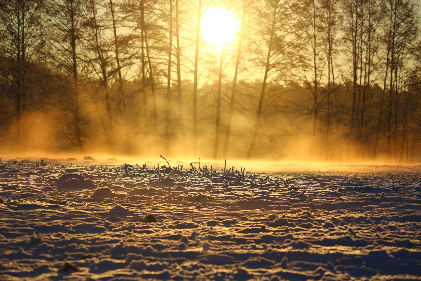 Canon EOS 100D (EOS Rebel SL1 / EOS Kiss X7) sample photo. Snow, sunrise, fog photography
