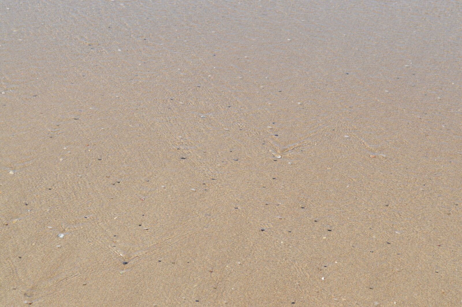 Nikon D3200 sample photo. Sand, beach, sandy beach photography