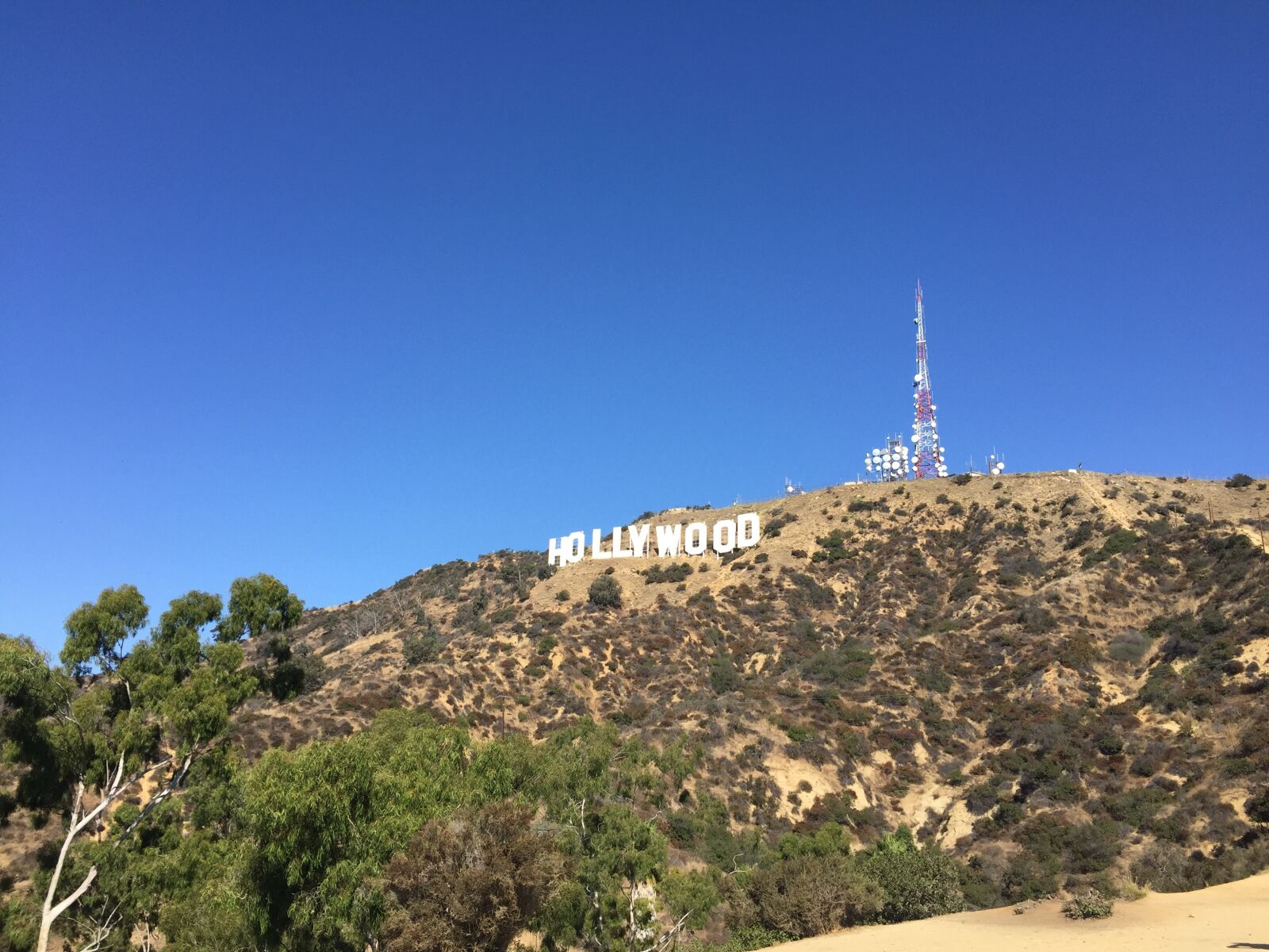 iPhone 6 back camera 4.15mm f/2.2 sample photo. Hollywood, view, california photography