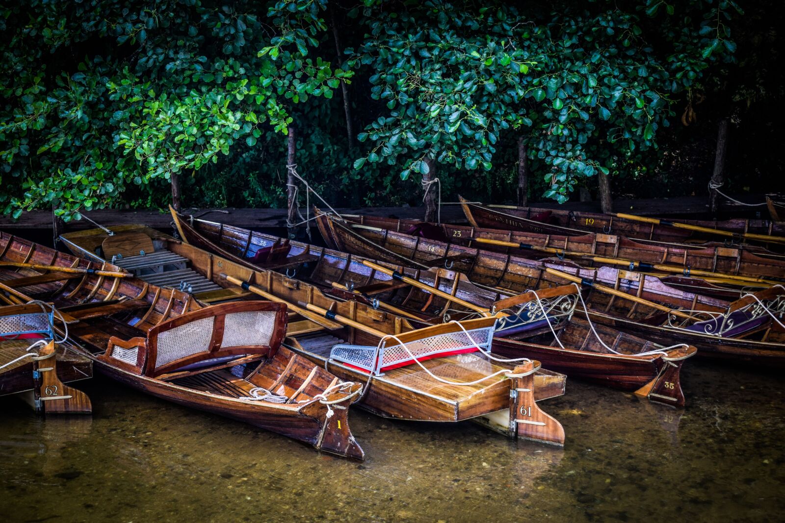 Nikon D3300 sample photo. Boat, boats, canal photography