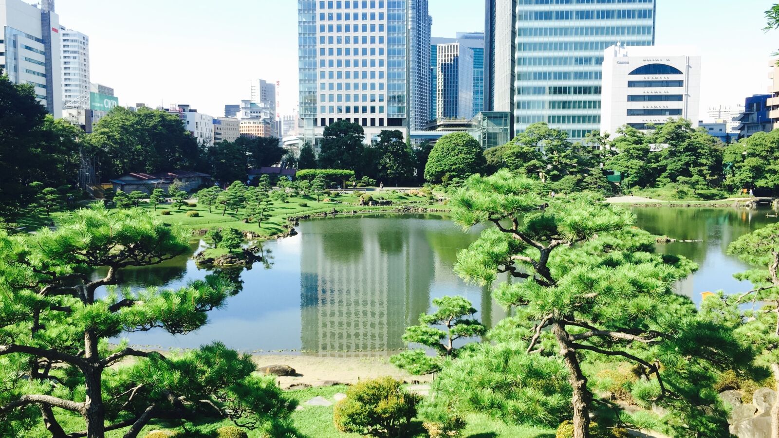 iPhone 6 Plus back camera 4.15mm f/2.2 sample photo. Japanese, park, garden photography