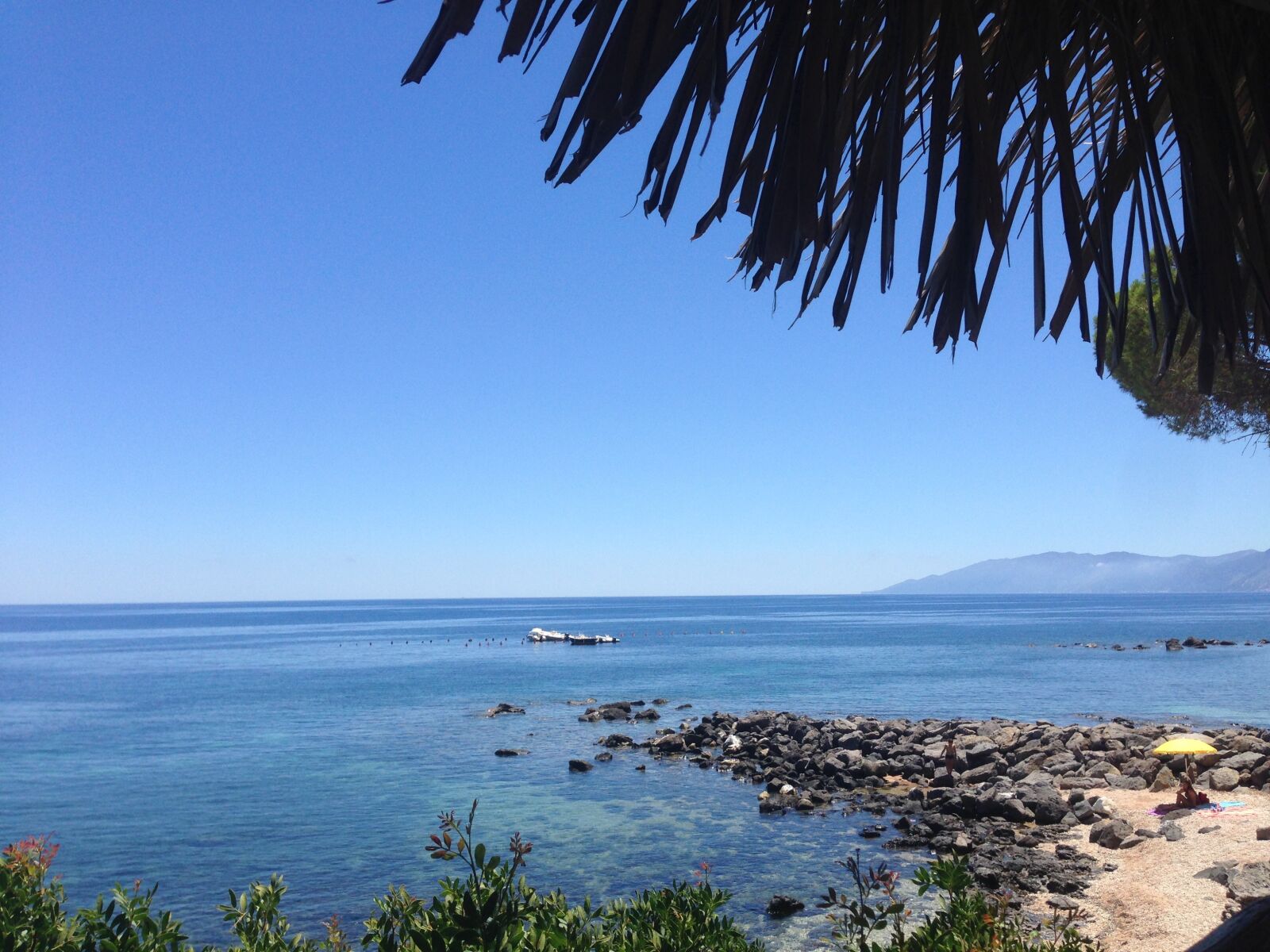 iPhone 5 back camera 4.12mm f/2.4 sample photo. Sea, ocean, palm tree photography
