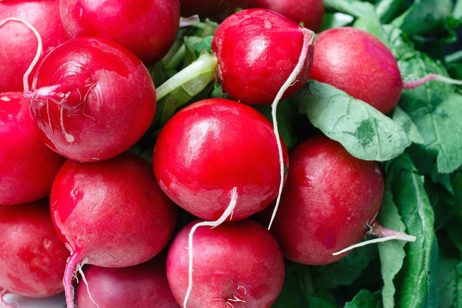 Canon EOS 100D (EOS Rebel SL1 / EOS Kiss X7) sample photo. Radish, vegetable, plant, food photography