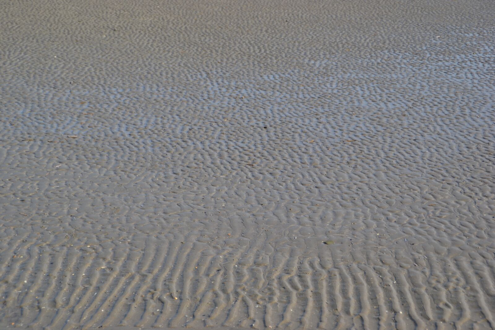 Nikon D3100 sample photo. Sand, ripple, sea photography
