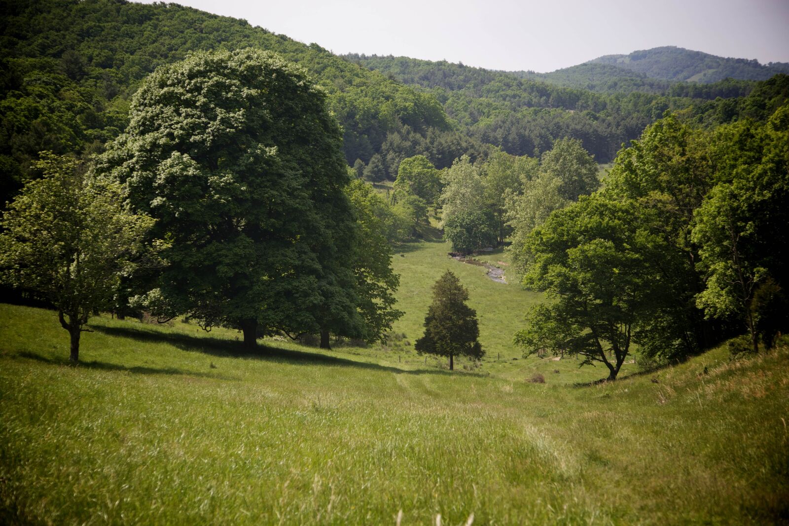 Canon EOS 5D Mark II sample photo. Stream, hills, pasture, fields photography