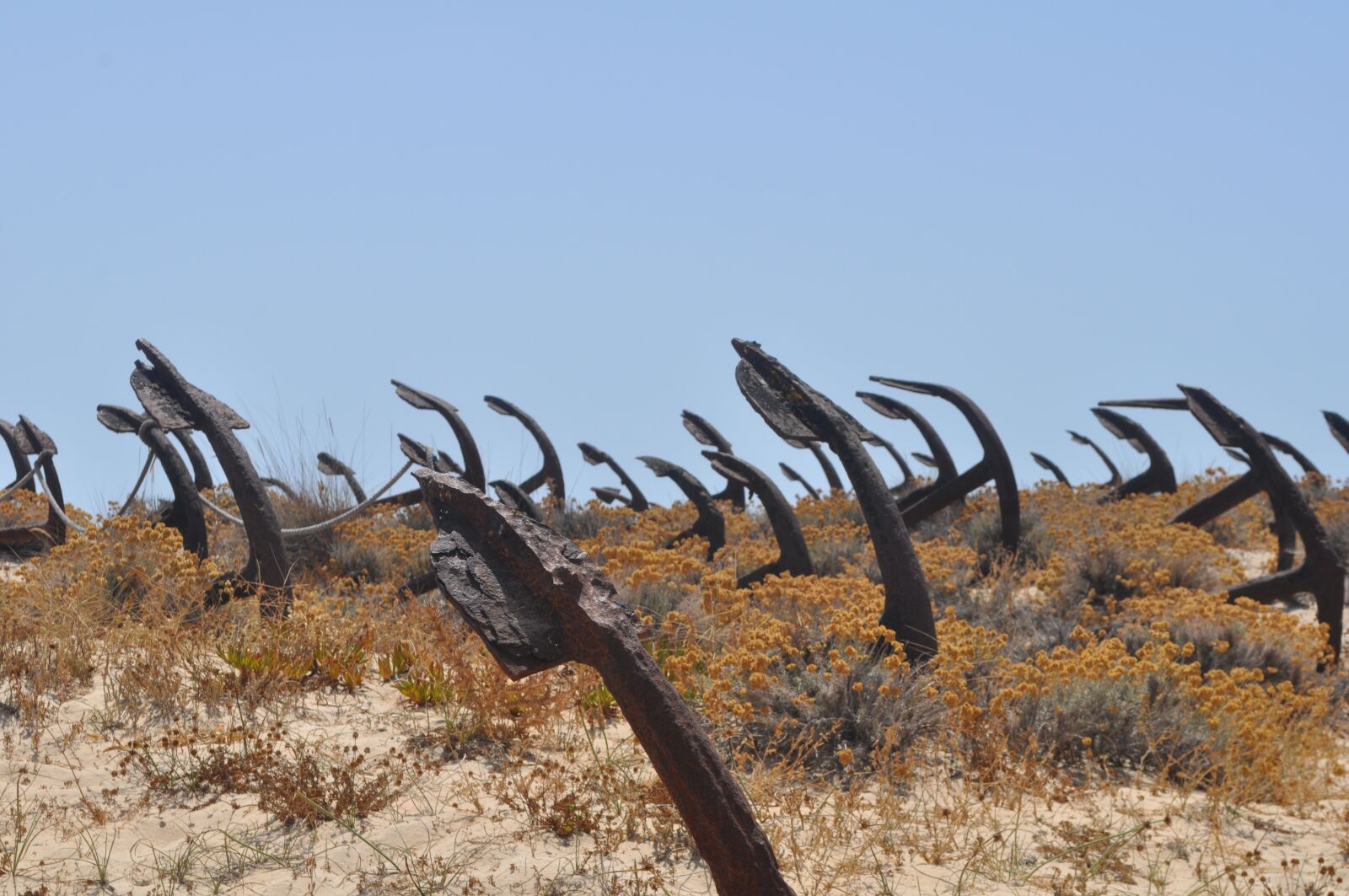 Nikon D5000 sample photo. Beach, anchor, algarve photography