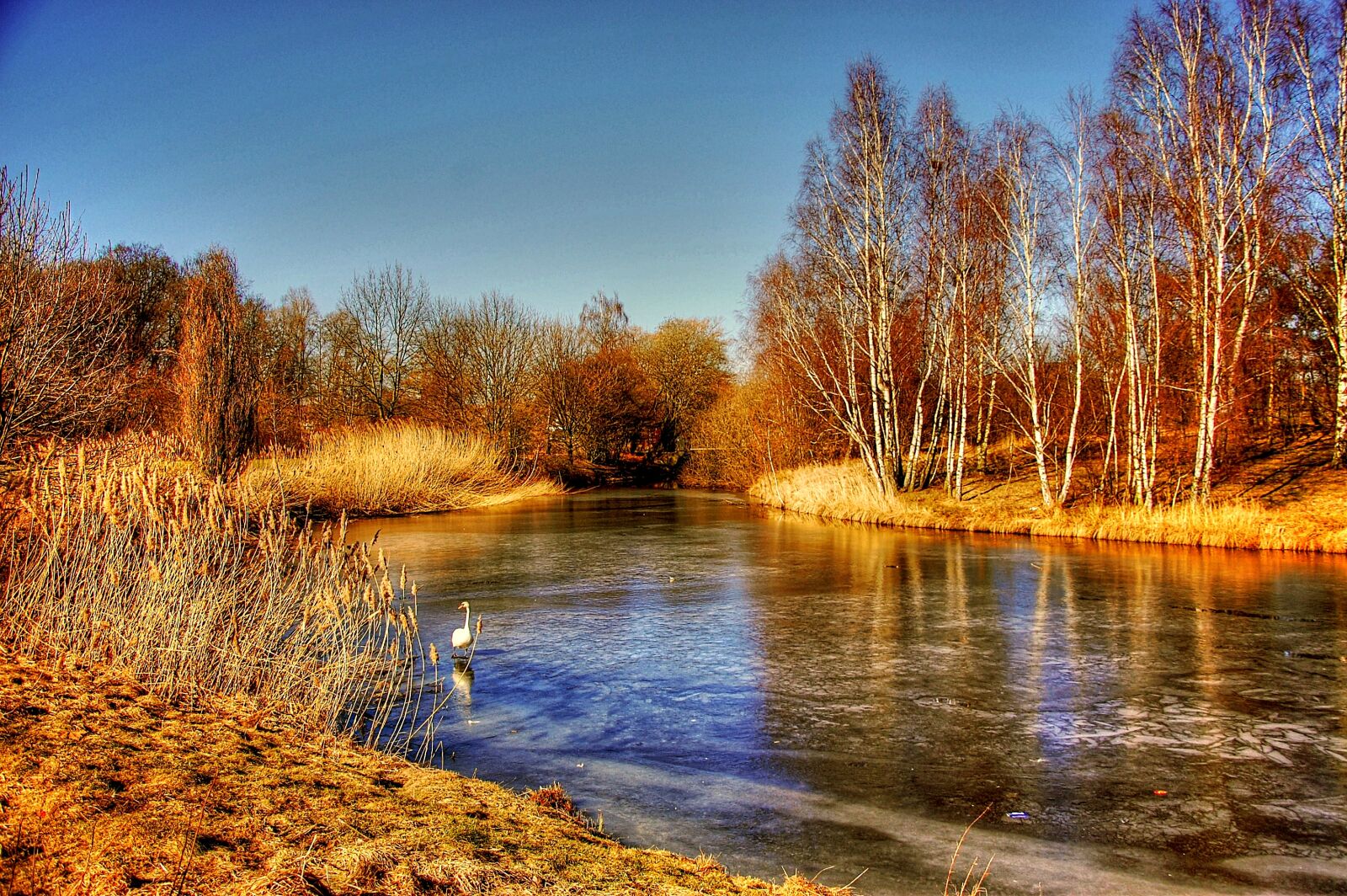 Nikon D40 sample photo. Gifhorn, mill lake, schlo photography