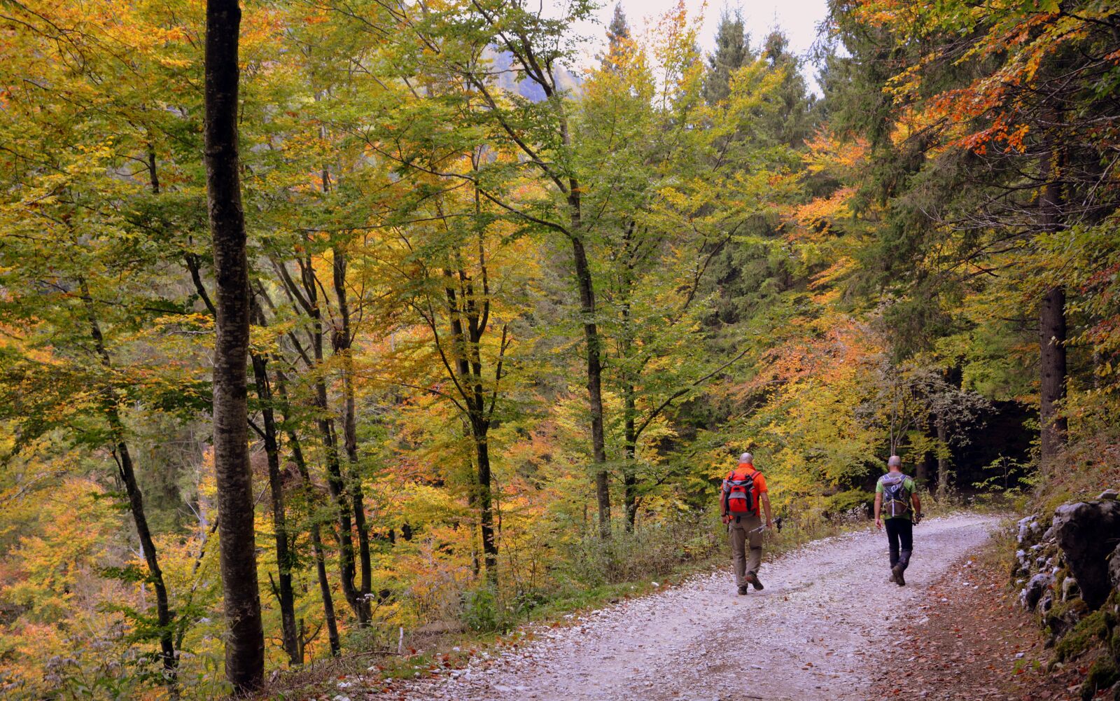 Nikon D7100 sample photo. Hiking, walk, autumn photography