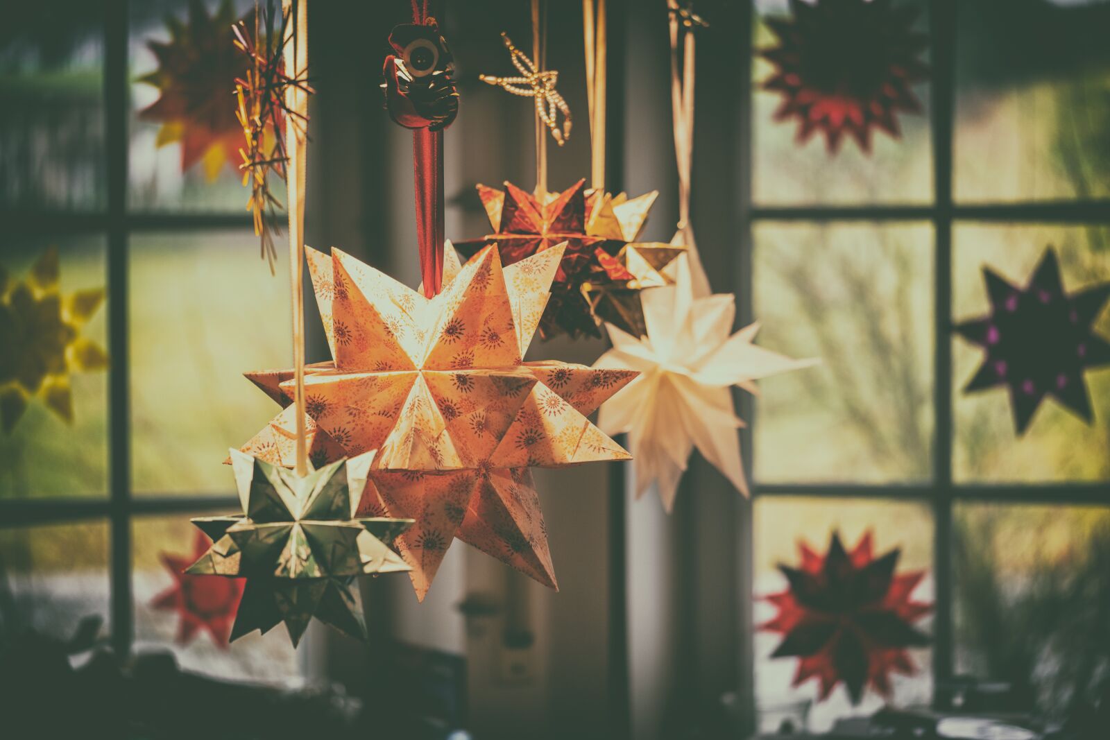 Fujifilm X-T2 + Fujifilm XF 80mm F2.8 R LM OIS WR Macro sample photo. Star, bascetta star, poinsettia photography
