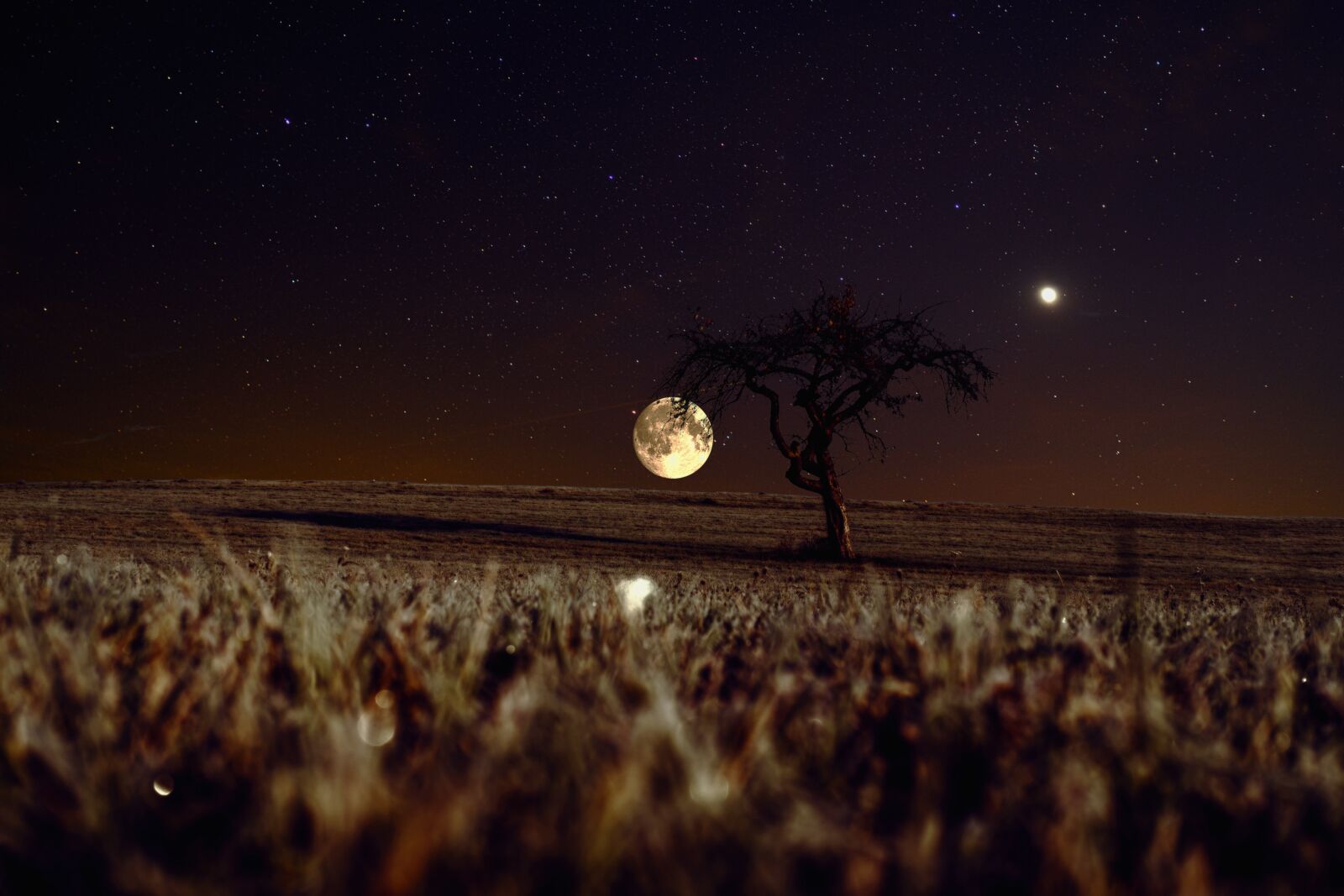 Fujifilm XF 35mm F2 R WR sample photo. Sky, star, moon photography