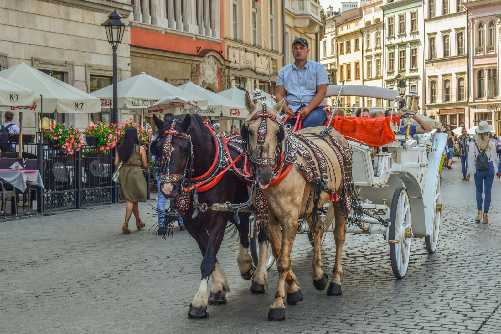 Nikon D3300 sample photo. Carriage, horses, romantic photography