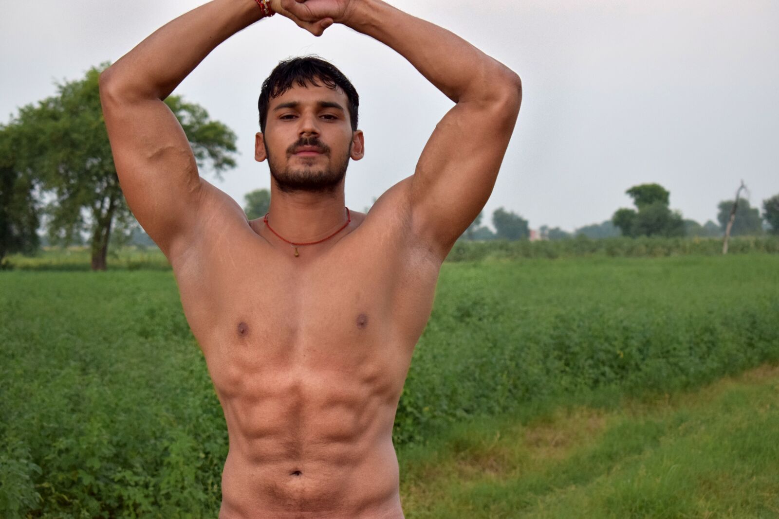 Nikon D3300 sample photo. Six pack, farm, bodybuilder photography