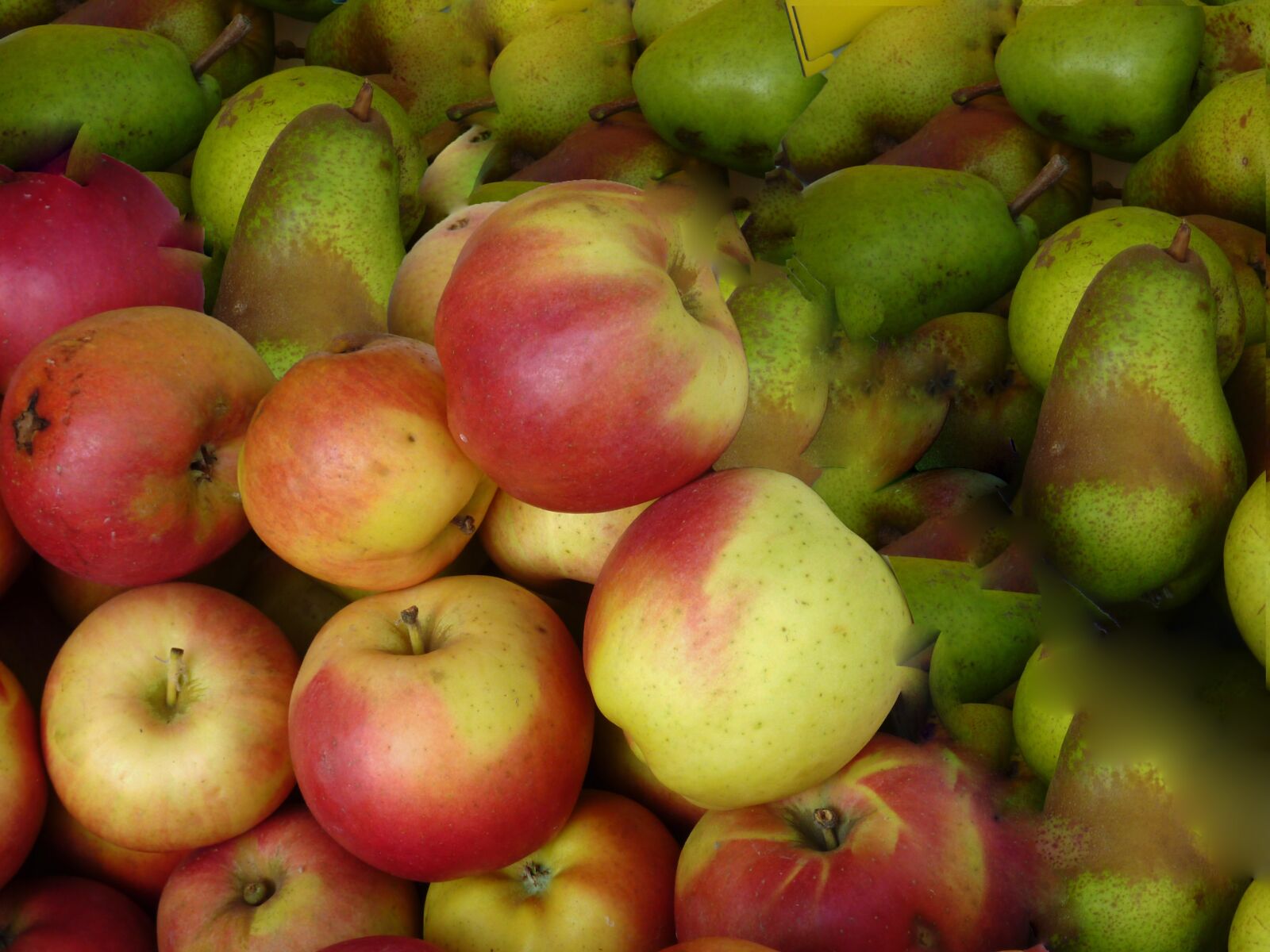 Panasonic DMC-TZ7 sample photo. Apple, pear, fruit photography