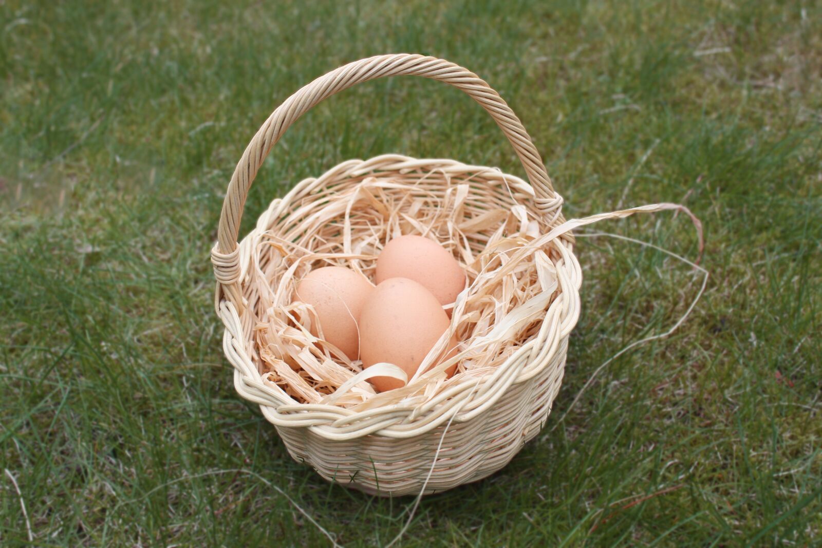 Canon EOS 450D (EOS Rebel XSi / EOS Kiss X2) sample photo. Easter, egg, basket photography