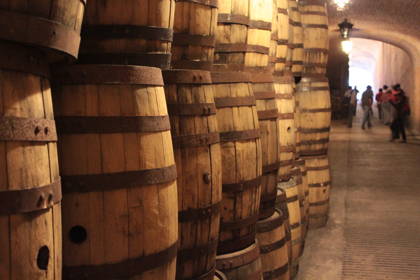 Canon EOS 600D (Rebel EOS T3i / EOS Kiss X5) sample photo. Barrel, wine, winery photography