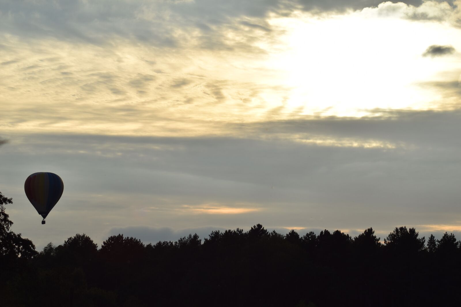 Nikon D3500 sample photo. Hot air balloon, evening photography
