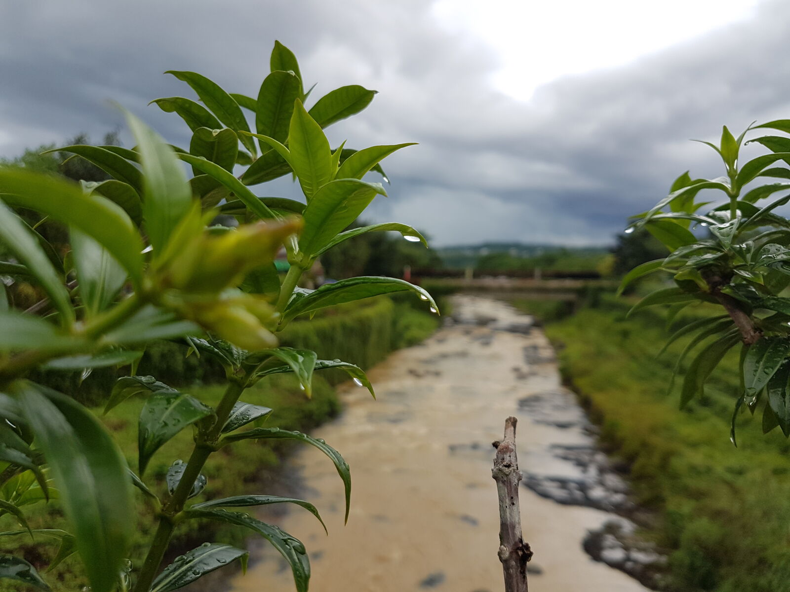 Samsung Galaxy S7 Edge sample photo. Light, rainy, nature, river photography