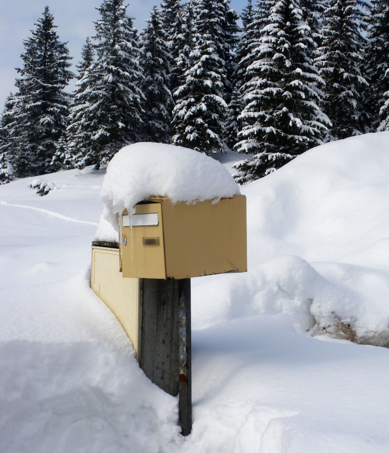 Pentax Optio M60 sample photo. Snow, letterbox, white photography