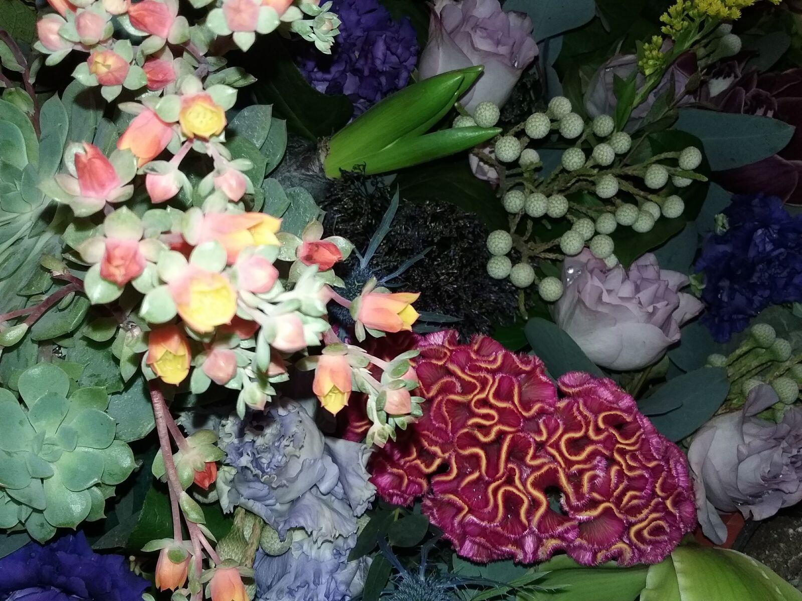 Samsung Galaxy J3(2016) sample photo