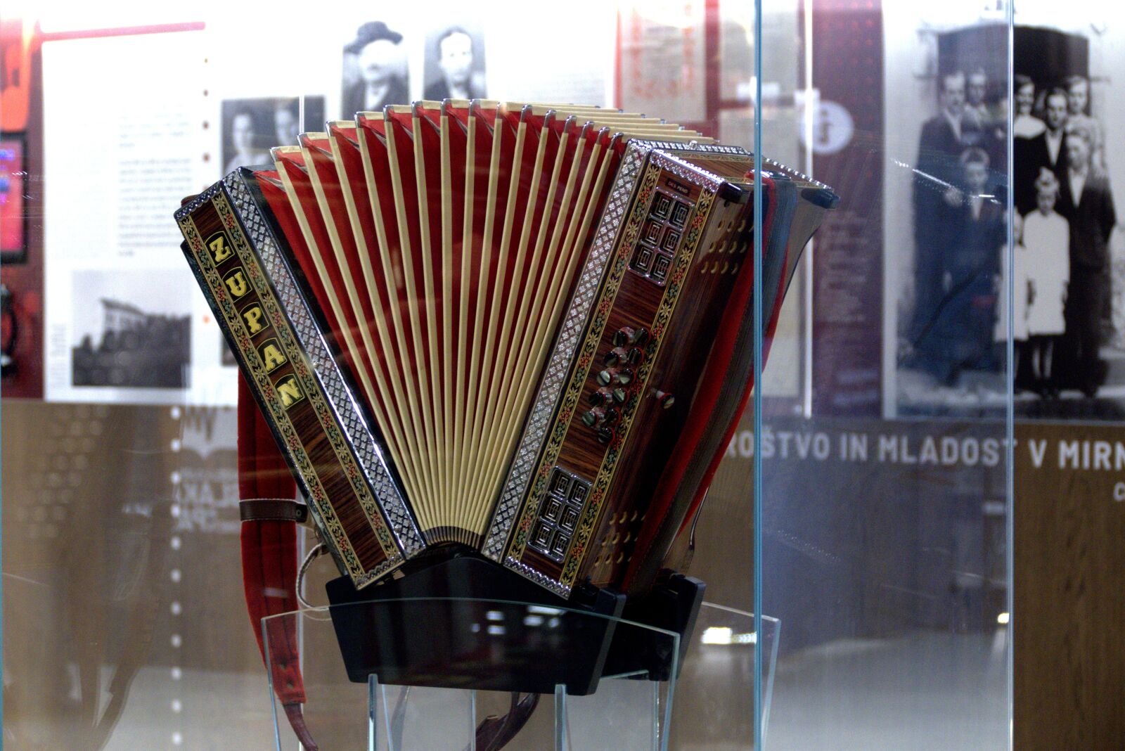 Panasonic Lumix DMC-FZ1000 sample photo. Musical instrument, accordion, melody photography