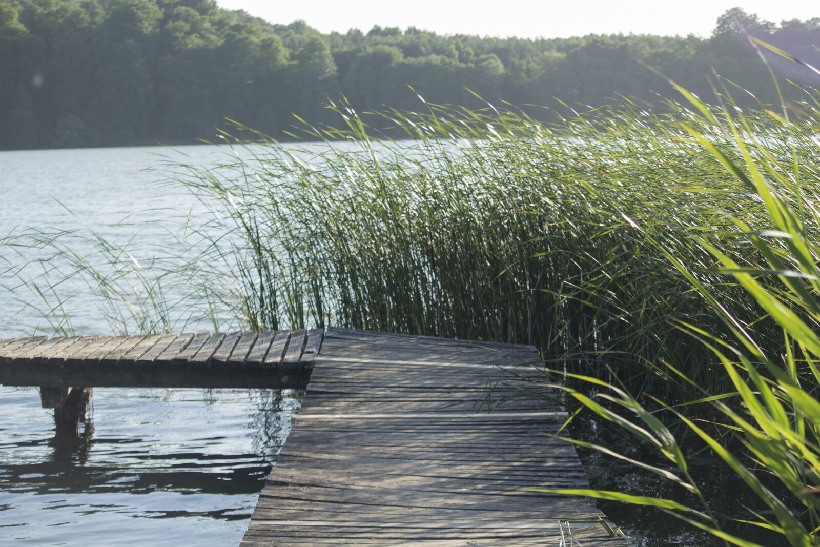 Canon EF-S 55-250mm F4-5.6 IS STM sample photo. Lake, pond, water photography