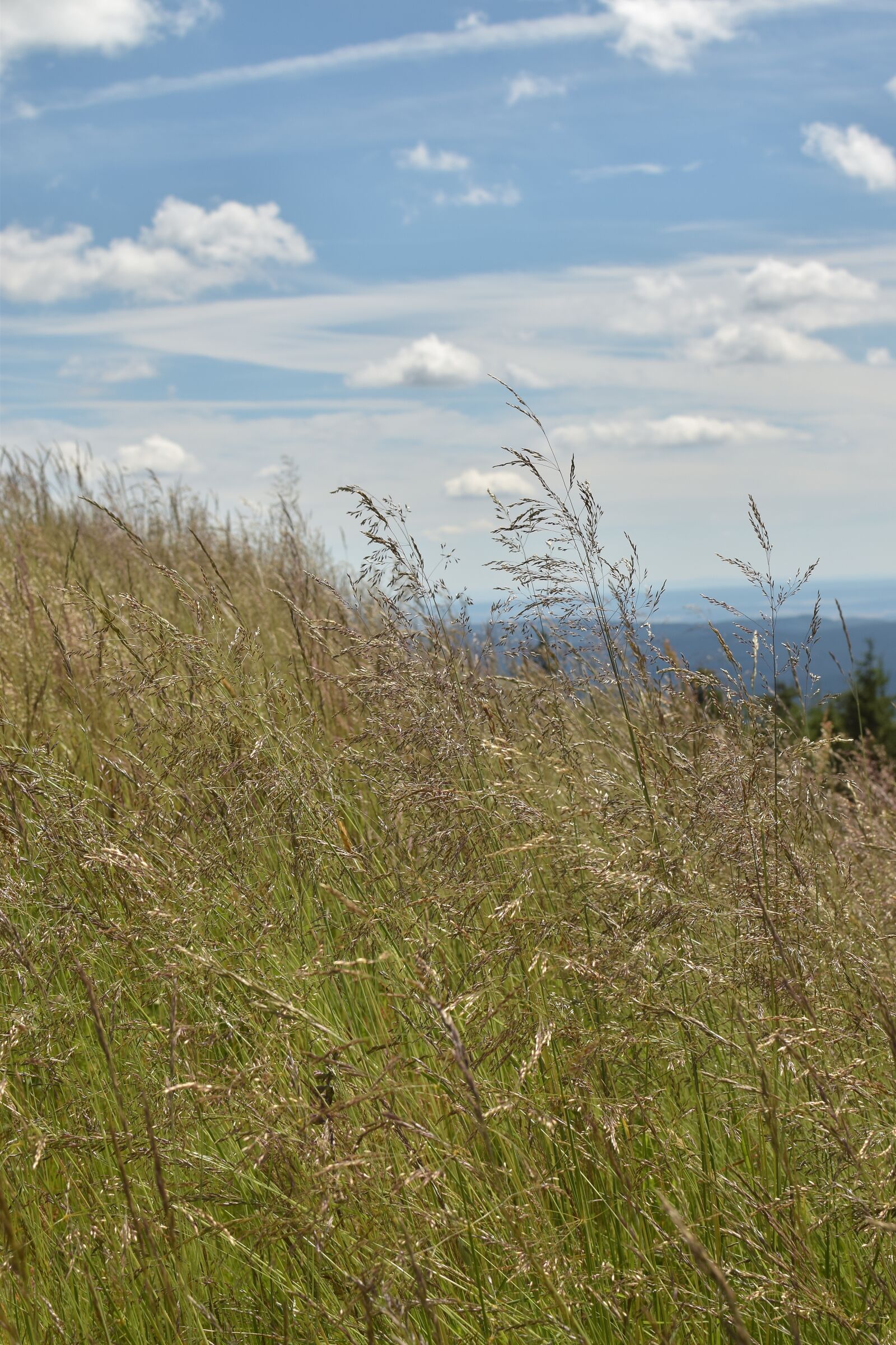 Nikon D5300 sample photo. Landscape, mountains, highlands photography
