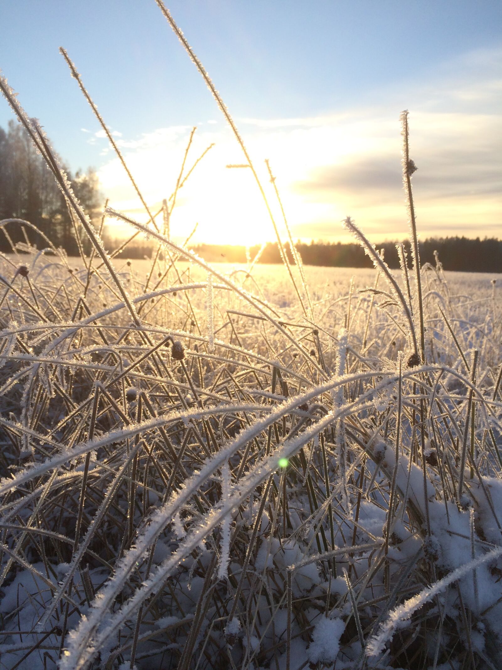 Apple iPhone 5s sample photo. Frost, sunset, field photography