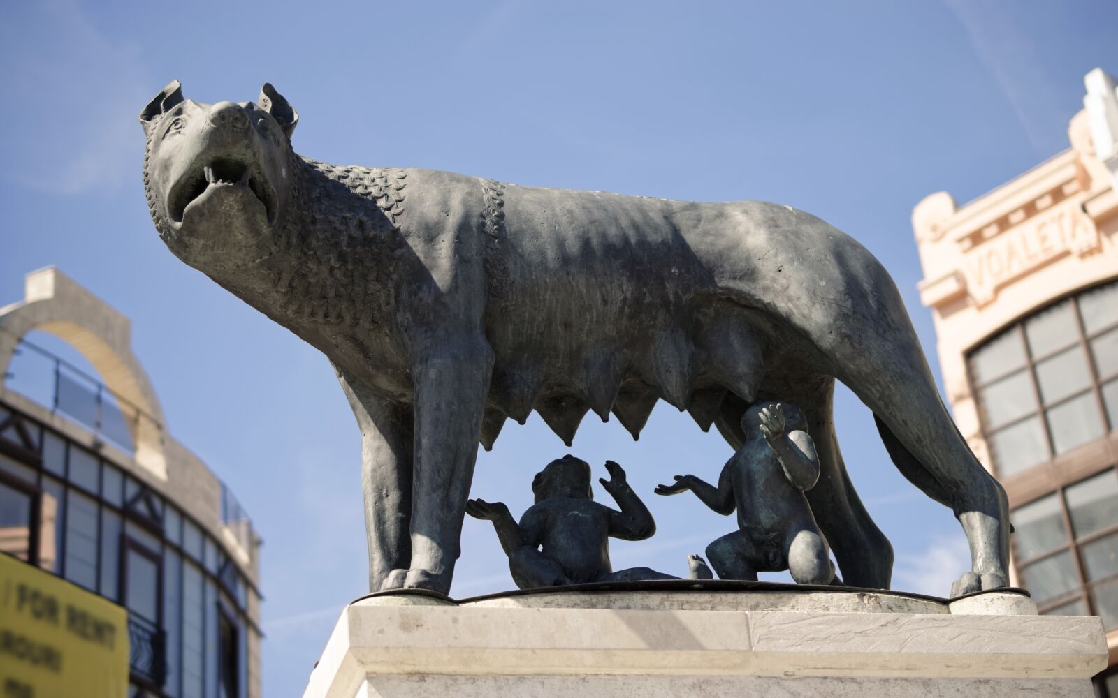 Nikon D5300 sample photo. Statue, too, pet photography