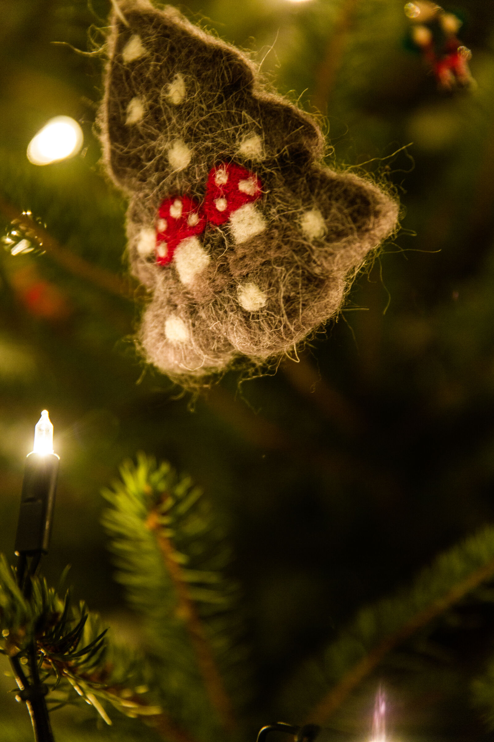 Canon EF 24-70mm F2.8L II USM sample photo. Decoration, christmas, macro, christmas photography