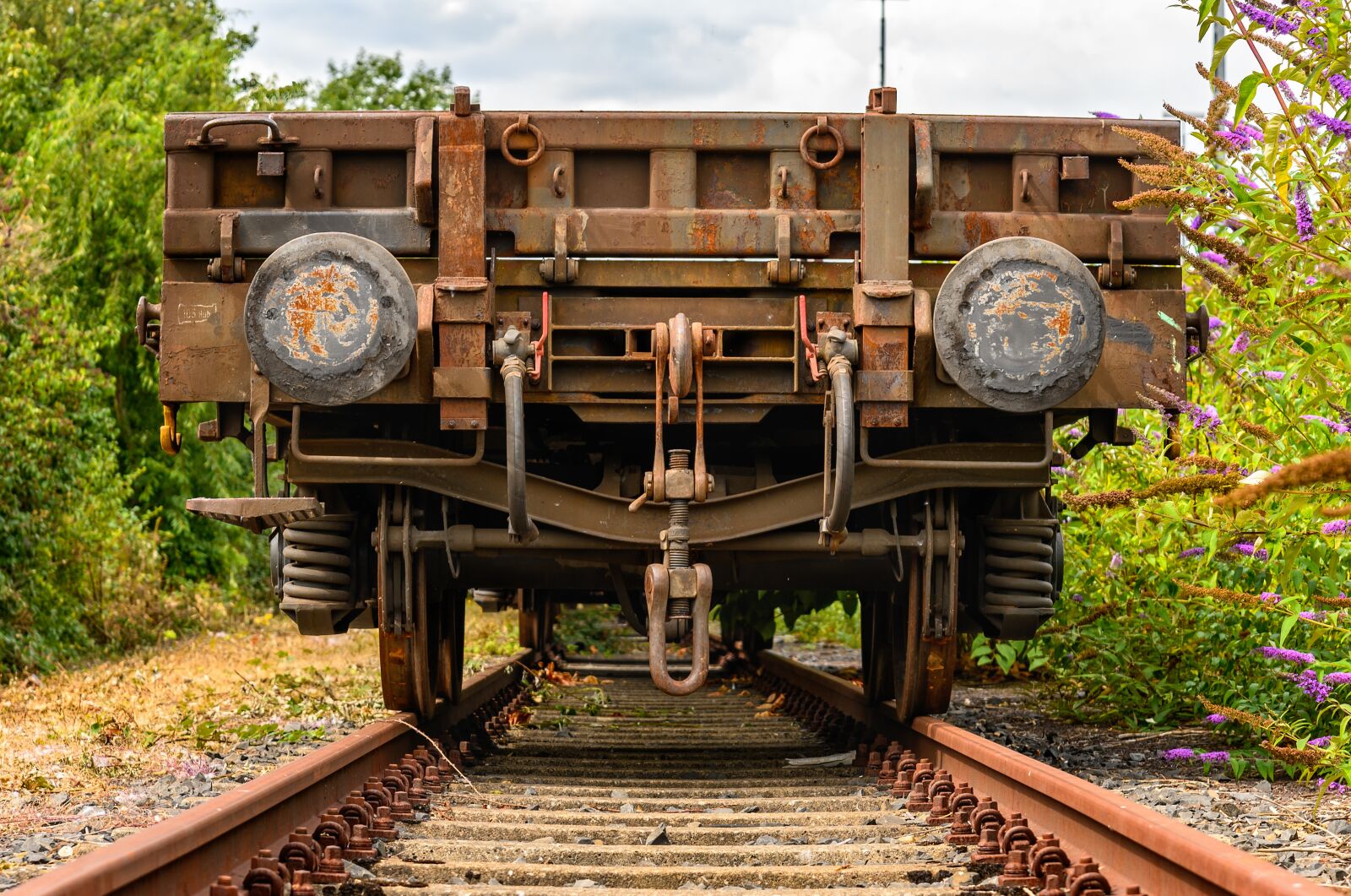 Nikon Z6 sample photo. Wagon, goods, transport photography