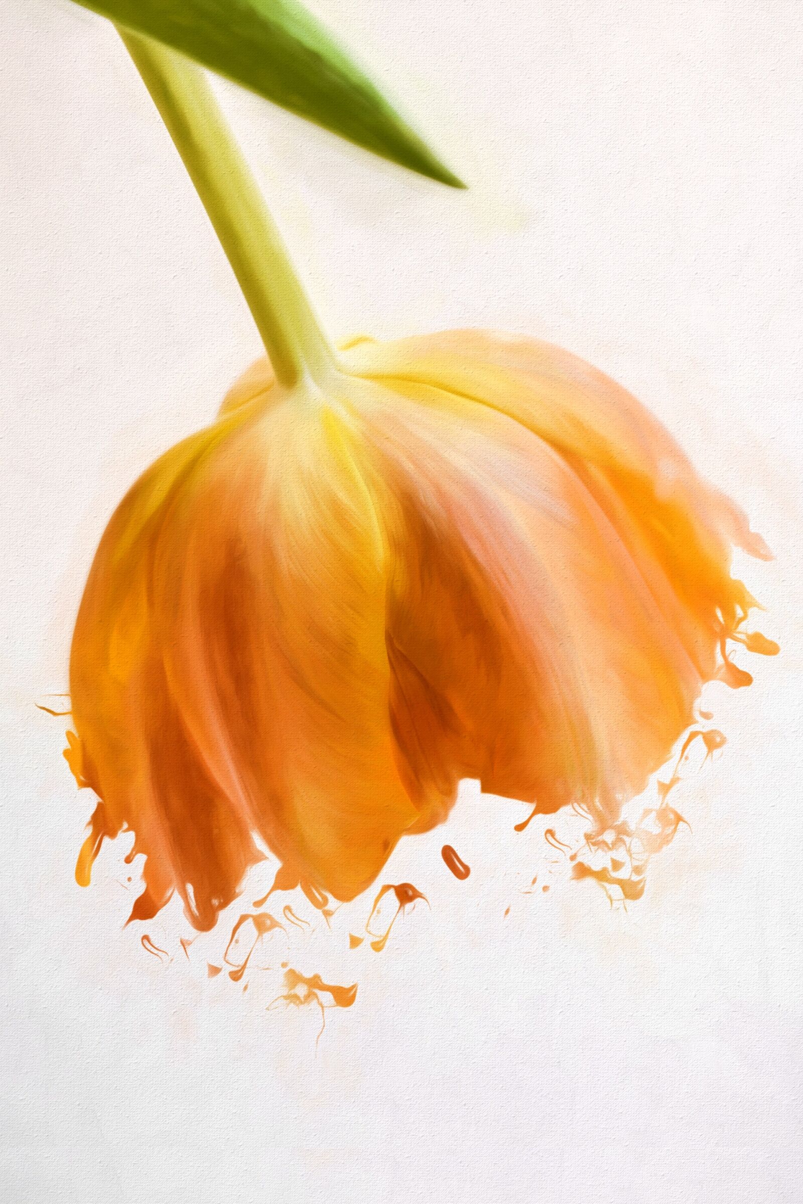 Nikon D7100 sample photo. Image, painting, painted photography